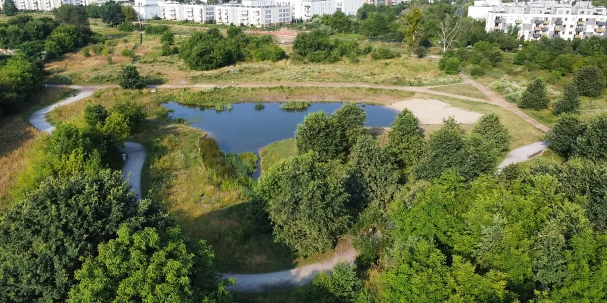 Wrocław wdraża program ochrony środowiska na lata 2026-2035. Mieszkańcy mogą zgłaszać uwagi