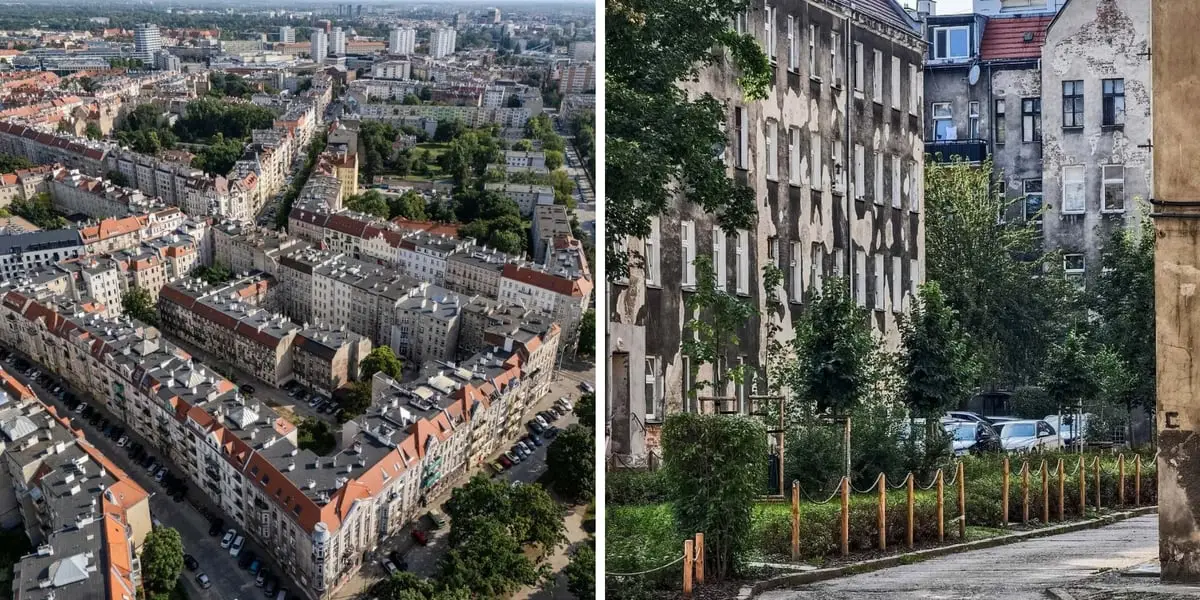 Termomodernizacja kamienic na Ołbinie. Nowa elewacja i wymiana okien