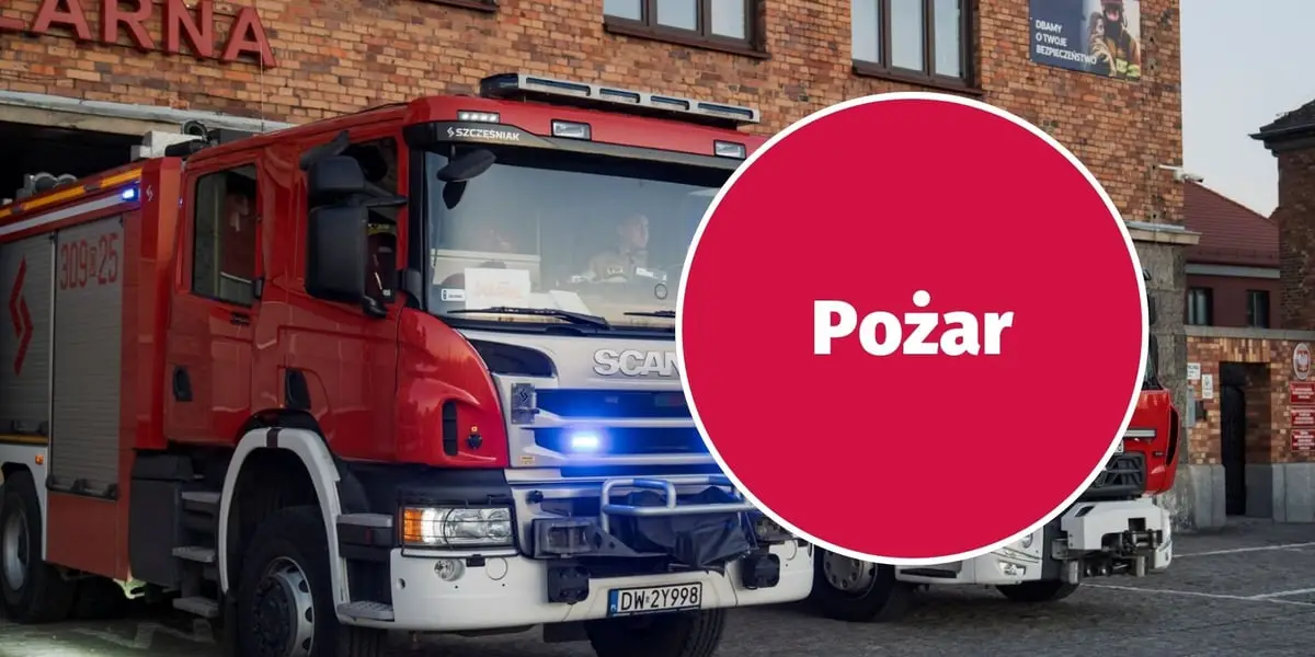 Pożar w warsztacie samochodowym na Szczepinie. Zniszczeniu uległy dwa pojazdy