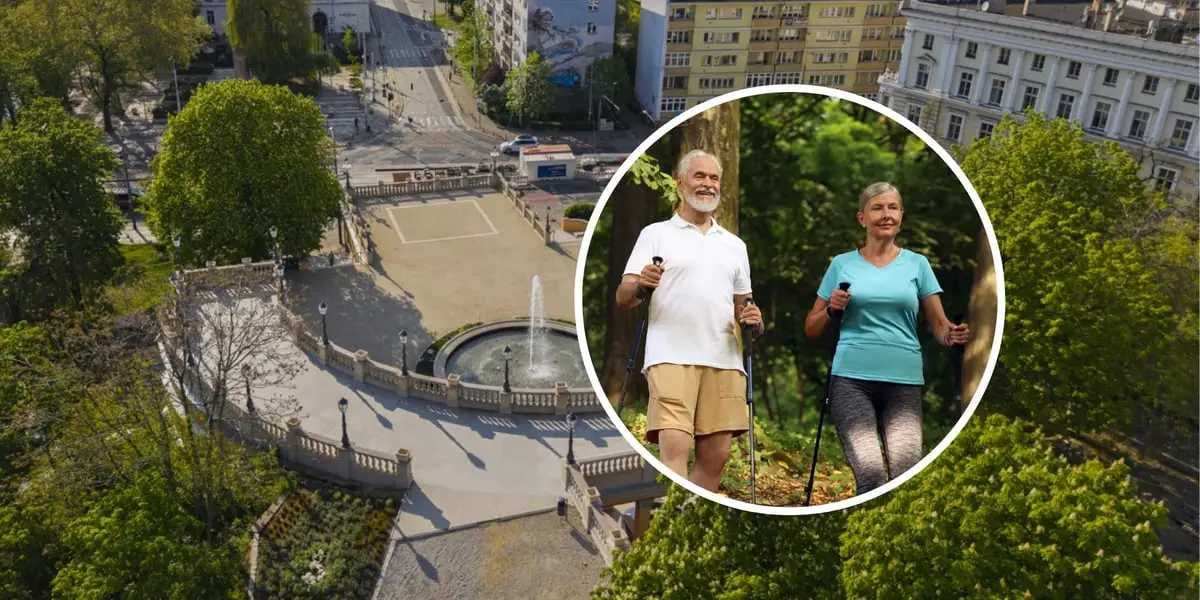 Seniorzy rozpoczynają spacery po Górach Wrocławia 8 lipca