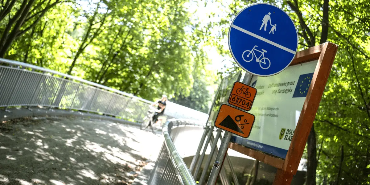 Nowa trasa rowerowa do kładki nad Widawą w Lesie Rędzińskim