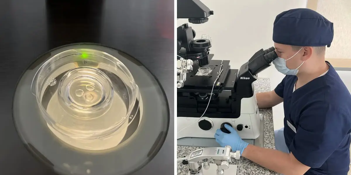 Wrocław zamyka program in vitro po urodzeniu 336 dzieci