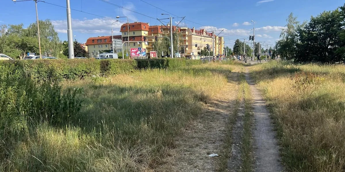 Nowa ścieżka rowerowa na osiedlu Karłowice-Różanka. Oferty od wykonawców już otwarte